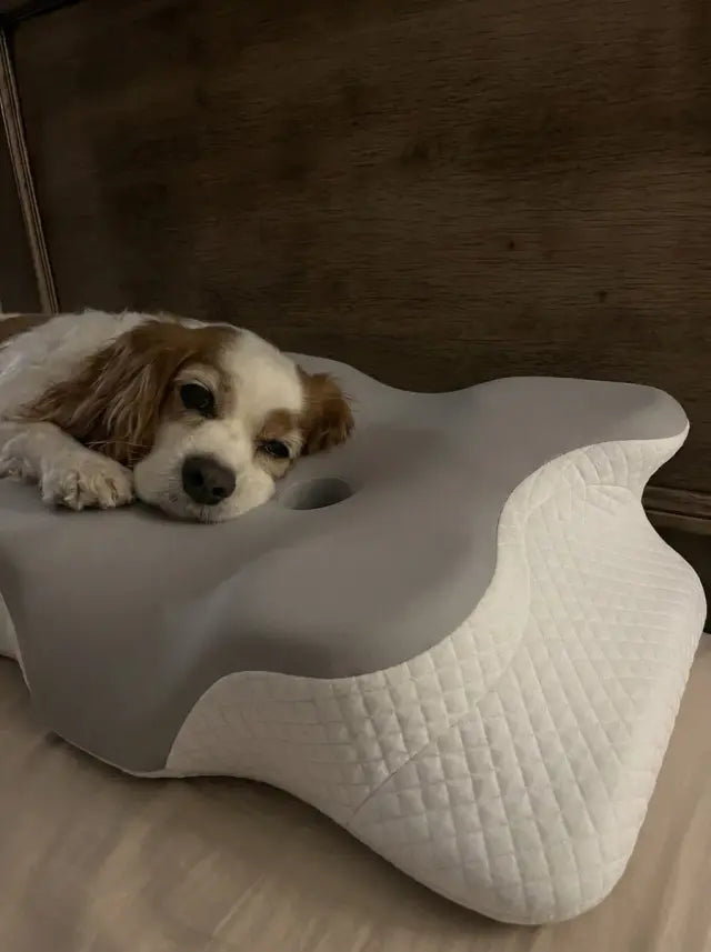 TRENDIMORA™ Almohada Ergonómica Mariposa con Gel Refrescante